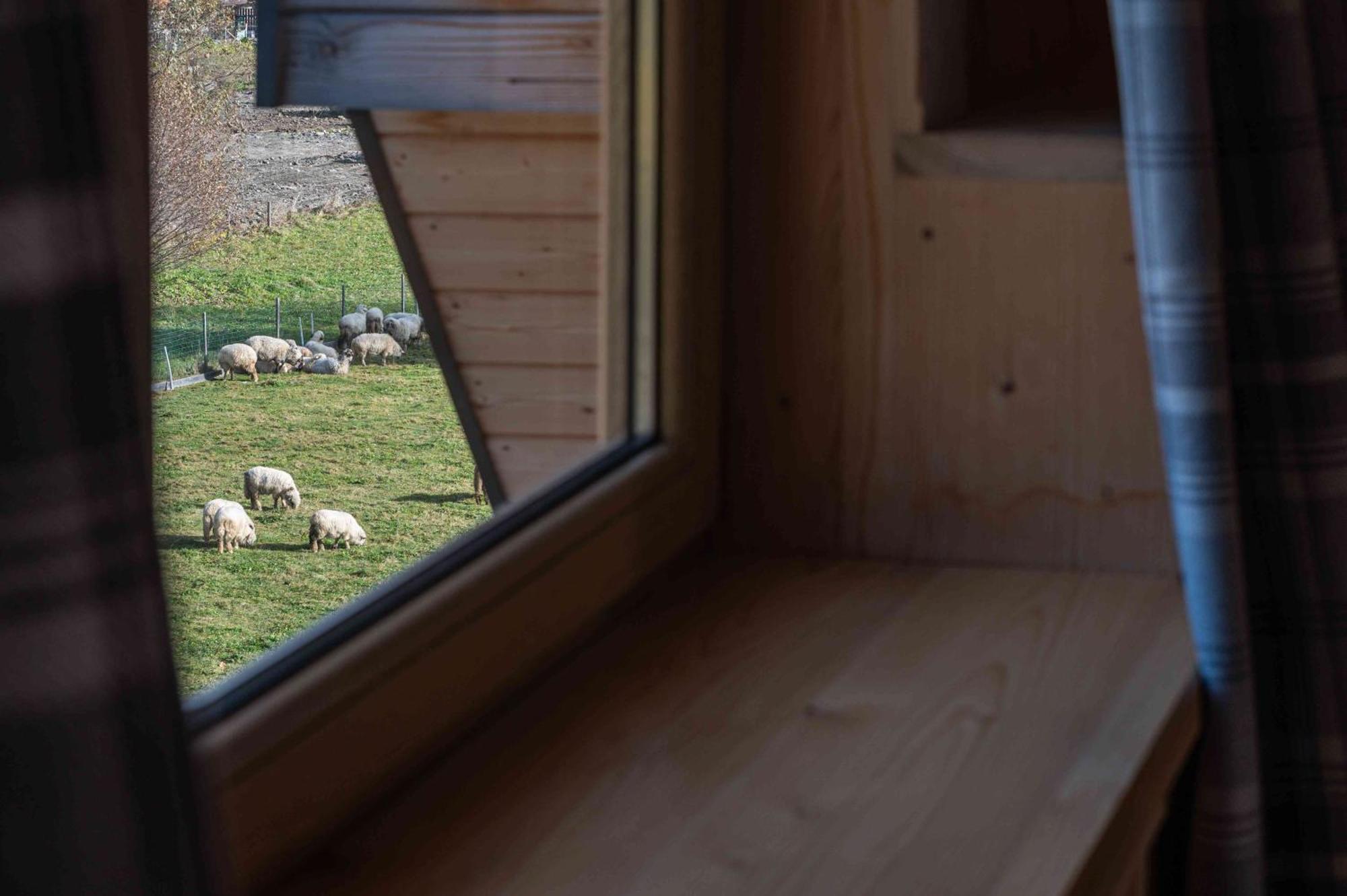 Pod Jaworem Z Balia Holiday home *